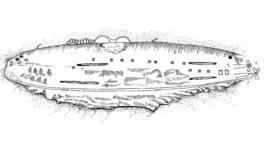 Line drawing of partially crushed battleship hull lying upside down on the seabed.
