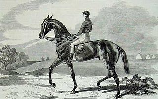 Beadsman (horse) British-bred Thoroughbred racehorse