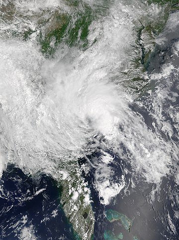 Tempestade tropical Bertha (2020)