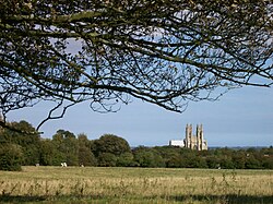 A pasture in the East Riding of Yorkshire in England