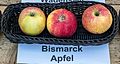 Bismarckapfel