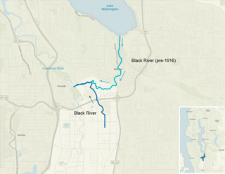 <span class="mw-page-title-main">Black River (Duwamish River tributary)</span>