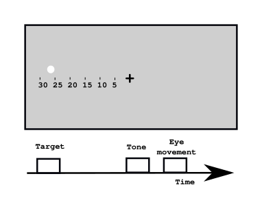 File:Blindsight test procedure.svg