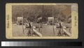 Boomer's Landing. 'The Rowing Party.' (NYPL b11707647-G90F453 017F).tiff