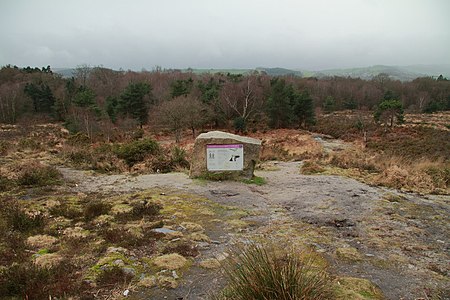 Bovey Heath (geograph 2284282)