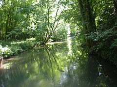 La Brêche au pont de la rue du Moulin, vue vers l'amont.