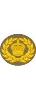 File:British Army (1920-1953) OR-8.svg