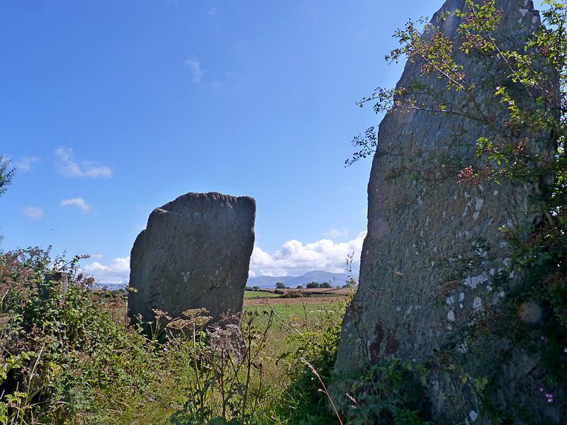 File:Bryngwyn Standing Stones, Anglesey.jpg