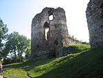 Стіна Бучацького замку