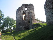 Zamek w Buczaczu -ruina