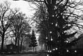 Bundesarchiv B 145 Bild-P047248, Berlin, Weihnachtsbäume an der Zonengrenze.jpg