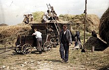 Threshing in Germany (1949)