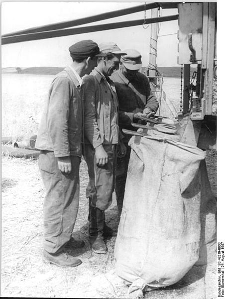 File:Bundesarchiv Bild 183-48219-0003, LPG Wandersleben, Kontrolle des Korns.jpg