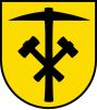 Coat of arms of Oberhofen