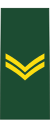 Канадская армия OR-4.svg