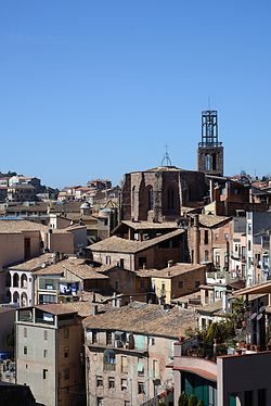 View of cardona with the Church of Sant Miquel