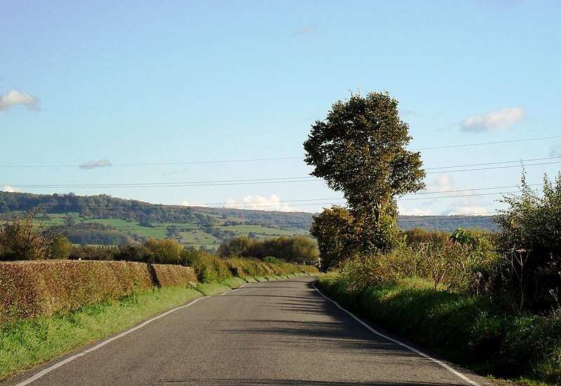 File:Castle Lane near Parkend Bridge, Gloucestershire - geograph.org.uk - 3285288.jpg