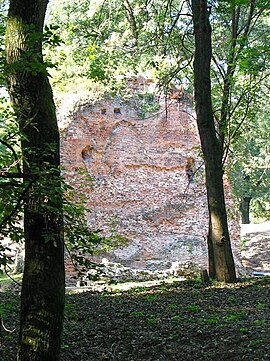 Castle Parič.jpg