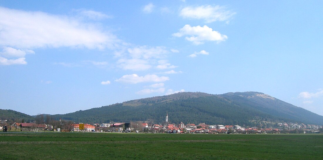 Cerknica (plaats)