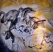 Grotte Chauvet, vers 32 000 BP, chevaux, aurochs et rhinocéros (Aurignacien)