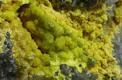 Chernikovite and meta-autunite, radioactive minerals result of possible biomineralization.