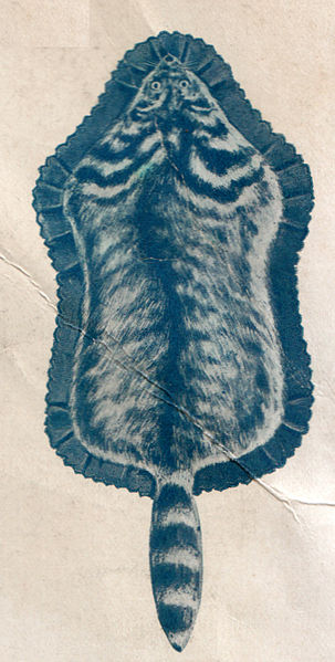 File:Civet cat fur rug, 1910.jpg