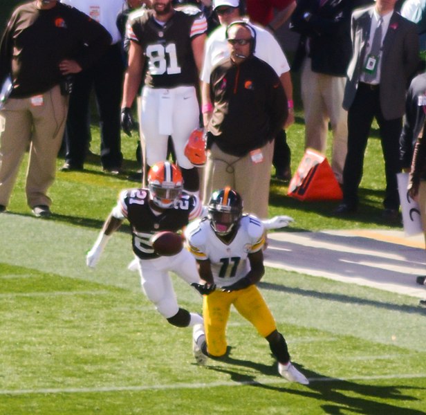 File:Cleveland Browns vs. Pittsburgh Steelers (15506719536).jpg