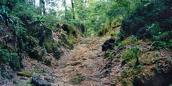 The few roads in the cloud forest of El Cielo Biosphere Reserve are suitable for four-wheel drive vehicles only (August 2004).
