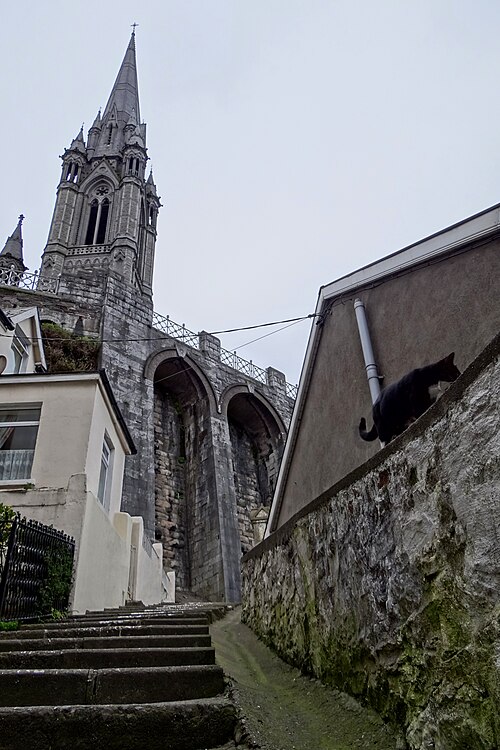 The tower of St. Colman's Cathedral from the streets below