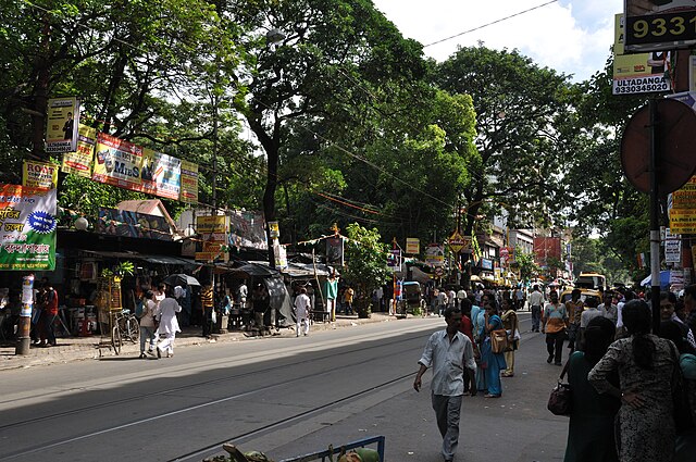 Book stores and tram tracks along College Street