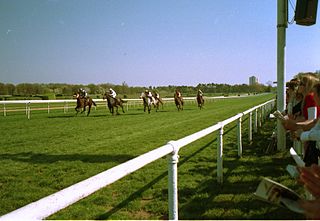 <span class="mw-page-title-main">Cologne-Weidenpesch Racecourse</span> Horse racing track in Cologne, Germany