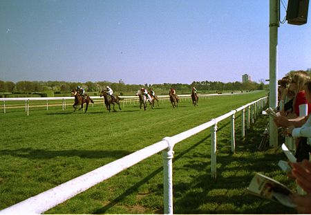 Cologne Weidenpesch Racecourse 2010