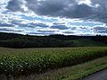 Cornfields of Hanover Township, Columbiana County.jpg