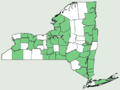 New York distribution map