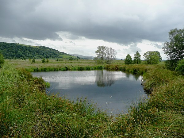 Cors Caron, near Tregaron