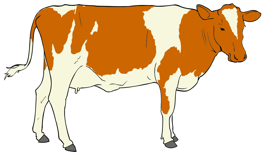 cowhide clipart - photo #46