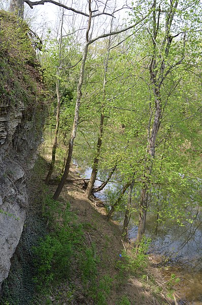File:Creek and cliff at Paintsville.jpg