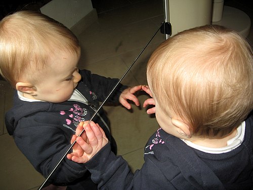 Curiosity in front of the mirror