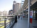 Curun TAKAOKA - The artificial deck.jpg