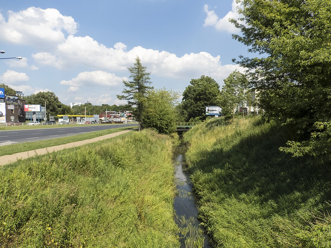 Czechówka (struga)