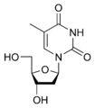 Un exemplu de nucleósido ye la timidina.