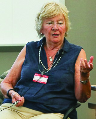 <span class="mw-page-title-main">Julia Higgins</span> British polymer scientist (born 1942)