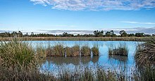 Dandenong Wetlands, Dandenong North