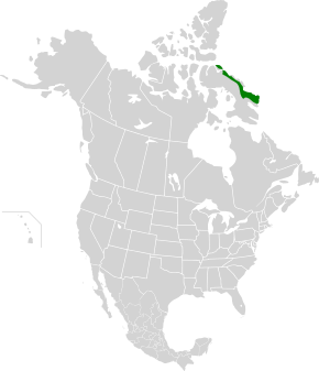 Bildebeskrivelse Davis Highlands tundra map.svg.