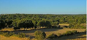 Salamanca Ledesma: Naturaleza, Historia, Demografía