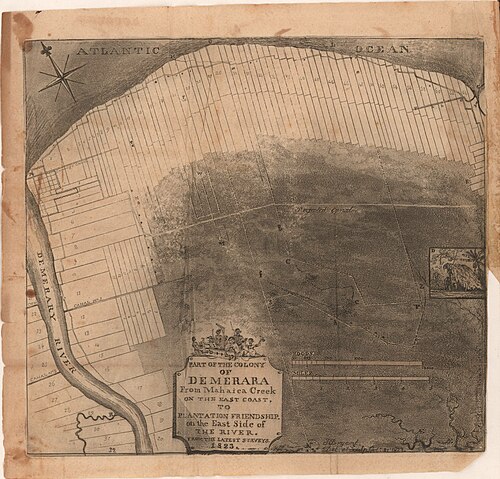 1823 Demerara map showing the disposition of plantations, Small crosses mark the places where slaves' heads or bodies were displayed