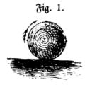 Die Gartenlaube (1861) b 684 1.jpg Fig. 1