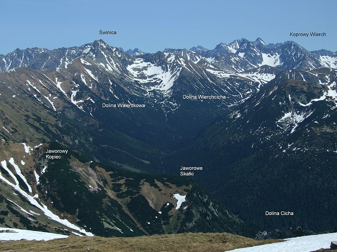 Tichá dolina (Vysoké Tatry)