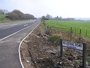 Dungannon Road, Killeeshil - geograph.org.uk - 1210646.jpg