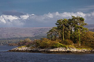 <span class="mw-page-title-main">Kenmare River</span> Bay (not a river) in the southwest of Ireland